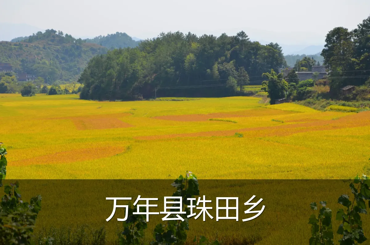 万年县珠田乡