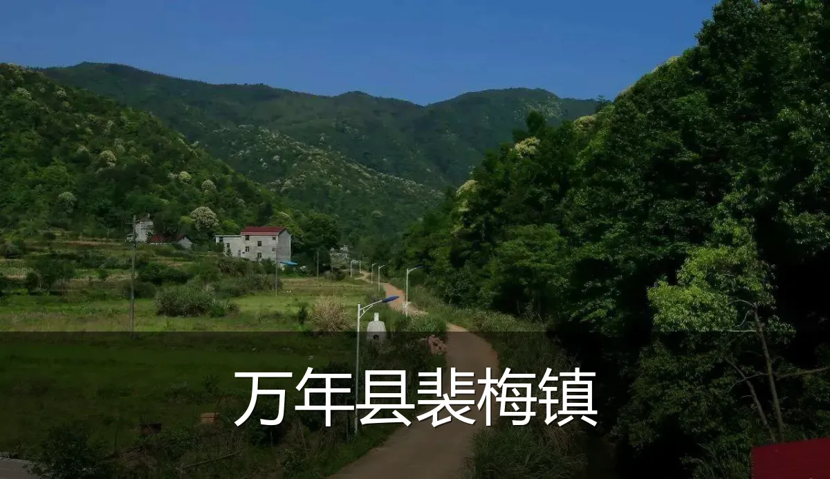 万年县裴梅镇
